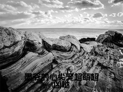墨凛沈幼薇小说（墨爷的心尖宠超萌超凶哒）全文免费阅读_墨爷的心尖宠超萌超凶哒最新章节列表笔趣阁（墨凛沈幼薇）