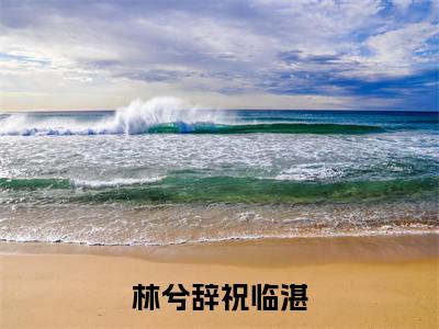 林兮辞祝临湛全文免费阅读无弹窗大结局_ (祝临湛林兮辞)林兮辞祝临湛在线阅读无弹窗