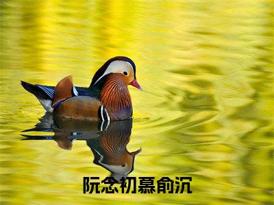 慕俞沉阮念初小说大结局免费阅读-阮念初慕俞沉抖音新上热文分享慕俞沉阮念初