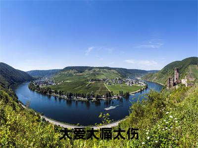 太爱太痛太伤（夏滢筠霍西城小说全文）在线阅读无弹窗大结局-太爱太痛太伤全文无删减版阅读