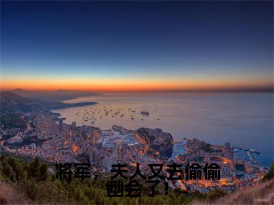 陆黔渊苏卿月小说-将军，夫人又去偷偷幽会了！最新章节全文阅读