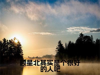 顾星北其实是个很好的人吧（林槿月顾星北）小说全文免费阅读正版无弹窗，顾星北其实是个很好的人吧免费阅读