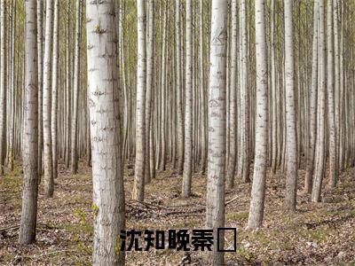 秦祤沈知晚(沈知晚秦祤)全文免费阅读无弹窗大结局_(秦祤沈知晚小说免费阅读全文大结局)最新章节列表_笔趣阁