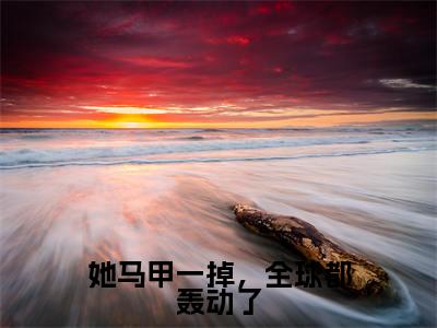 她马甲一掉，全球都轰动了全文免费阅读无弹窗大结局（苏蔓霍政屿）_她马甲一掉，全球都轰动了最新章节列表_笔趣阁（苏蔓霍政屿）
