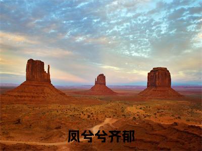 齐郁凤兮兮（凤兮兮齐郁）全文免费阅读无弹窗_凤兮兮齐郁最新小说