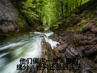 他们俩这一世夫妻的缘分，终究还是到头了（文兰心苏崇岳）完结版小说-他们俩这一世夫妻的缘分，终究还是到头了小说全文免费阅读笔趣阁