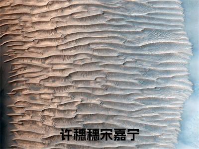 许穗穗宋嘉宁小说免费下载（许穗穗宋嘉宁完整全集已完结大结局小说）_宋嘉宁许穗穗免费阅读笔趣阁