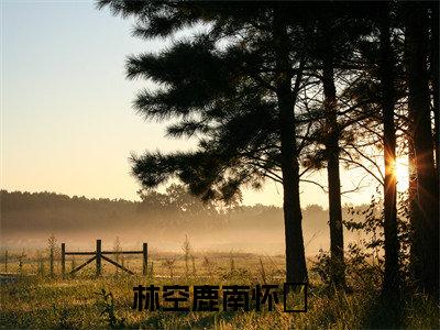林空鹿南怀璟（南怀璟林空鹿）全文免费阅读无弹窗_南怀璟林空鹿最新小说_笔趣阁（林空鹿南怀璟）