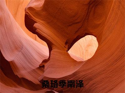 桑珞季南泽小说全文免费阅读（季南泽桑珞）全文免费季南泽桑珞读无弹窗大结局桑珞季南泽