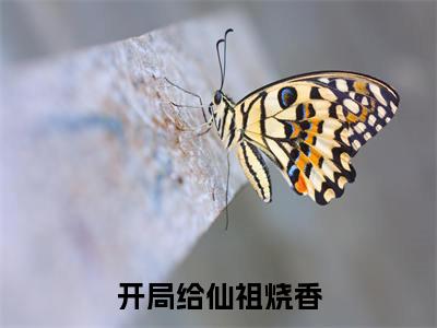  王宇黄飞免费小说（开局给仙祖烧香，奖励女帝媳妇）全文无弹窗阅读  王宇黄飞大结局免费阅读无弹窗