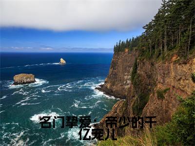 名可北冥夜是什么小说名门挚爱：帝少的千亿宠儿-（名门挚爱：帝少的千亿宠儿全文阅读）最新章节列表