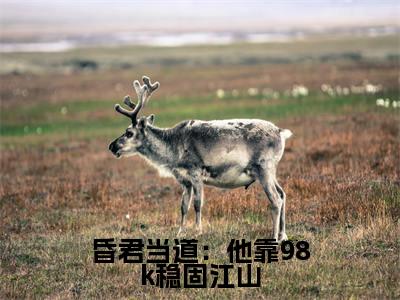  高绍义李明山（昏君当道：他靠98k稳固江山）全文免费阅读无弹窗大结局_（昏君当道：他靠98k稳固江山无弹窗）_笔趣阁