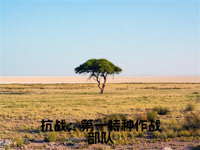 抗战：第一特种作战部队（ 魏名扬吕飞）免费小说- 魏名扬吕飞全文阅读目录