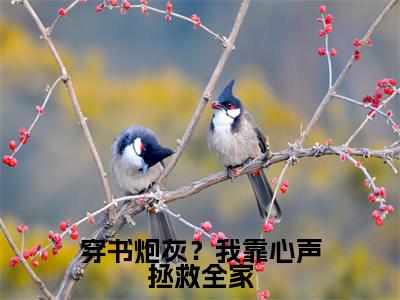 穿书炮灰？我靠心声拯救全家小说（ 陆朝朝远泽）全文完整版免费阅读- 陆朝朝远泽全文完整版免费阅读（ 陆朝朝远泽）