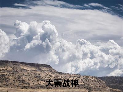 大秦战神全文免费阅读大结局_大秦战神（林易）完整版在线赏析