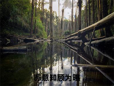 苏意知顾为暄顾为暄苏意知小说免费阅读-苏意知顾为暄抖音新书热荐