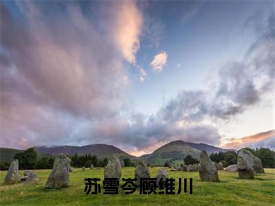 苏雪岑顾维川（顾维川苏雪岑）全文免费阅读苏雪岑顾维川最新章节小说免费阅读_笔趣阁