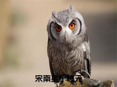宁峻元宋南星（宋南星宁峻元）完整版小说阅读-宁峻元宋南星小说（宋南星宁峻元）精彩免费试读