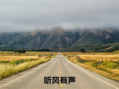 听风有声全文免费阅读无弹窗大结局-裴景肆虞纾在线阅读