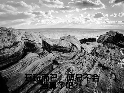 玩玩而已，傅总不会当真了吧？ 小说（盛静姝傅承宇）全文免费阅读无弹窗_（盛静姝傅承宇）玩玩而已，傅总不会当真了吧？ 最新章节列表_笔趣阁（玩玩而已，傅总不会当真了吧？ ）