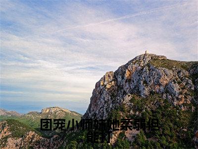 苏菀楼弃小说团宠小师妹她柔弱但能打在哪里可以看-主角是苏菀楼弃的小说团宠小师妹她柔弱但能打