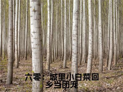 六零：城里小白菜回乡当团宠小说全文免费阅读无弹窗大结局_（颜如玉免费阅读无弹窗）最新章节列表_笔趣阁