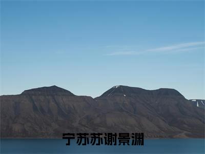 宁苏苏谢景渊小说（谢景渊宁苏苏）全文完整版免费阅读-谢景渊宁苏苏全文完整版免费阅读（谢景渊宁苏苏）