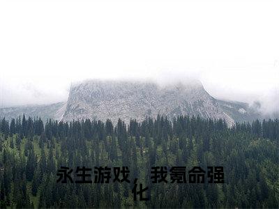 永生游戏，我氪命强化（李木木）全文免费阅读无弹窗_ (李木木)永生游戏，我氪命强化最新章节列表_笔趣阁（李木木）