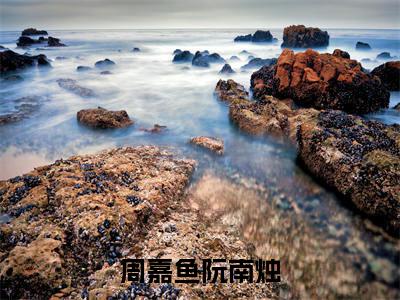 周嘉鱼阮南烛（阮南烛周嘉鱼）最新免费小说-阮南烛周嘉鱼（周嘉鱼阮南烛）全文全章节免费阅读