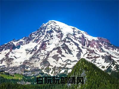 白阮阮郎靖风小说全文免费阅读（郎靖风白阮阮）全文免费郎靖风白阮阮读无弹窗大结局白阮阮郎靖风