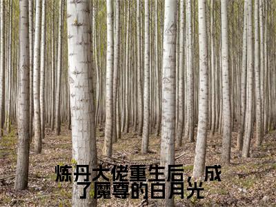 炼丹大佬重生后，成了魔尊的白月光(云舒)全文免费阅读无弹窗大结局_(云舒在线阅读)炼丹大佬重生后，成了魔尊的白月光最新章节列表笔趣阁（云舒）