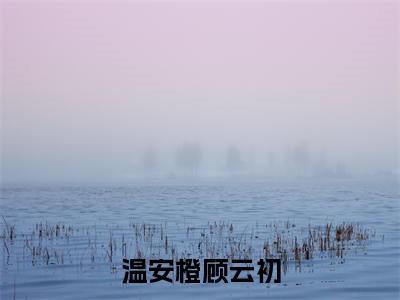温安橙顾云初（顾云初温安橙）全文免费阅读无弹窗大结局_(温安橙顾云初)顾云初温安橙免费阅读无弹窗最新章节列表_笔趣阁（顾云初温安橙）