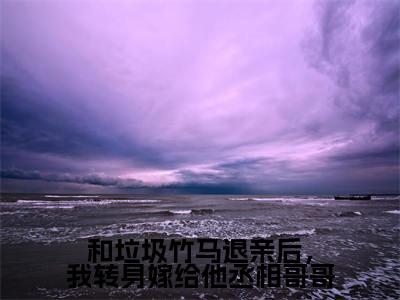 和垃圾竹马退亲后，我转身嫁给他丞相哥哥(姜珍贺文书)全文免费阅读无弹窗大结局_(姜珍贺文书小说全文无弹窗)和垃圾竹马退亲后，我转身嫁给他丞相哥哥完整版最新阅读