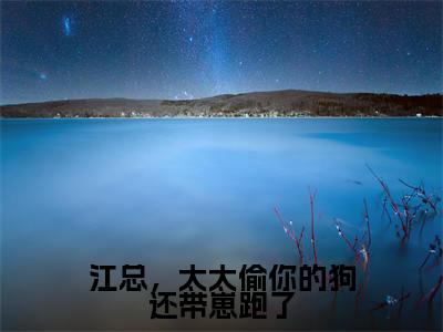 【新书】《江总，太太偷你的狗还带崽跑了》全文免费阅读最新章节大结局-谈舒意江聿 全文全章节免费阅读