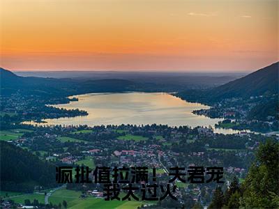 疯批值拉满！夫君宠我太过火（齐佑邶望欢）在线阅读-疯批值拉满！夫君宠我太过火小说齐佑邶望欢完整版免费阅读