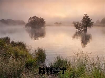 小说陆钊姜宁(姜宁陆钊)免费阅读-小说陆钊姜宁全文在线赏析