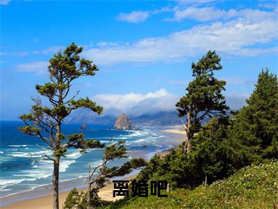 离婚吧，隐婚太太不干了！南栀盛浮川更新版试读（ 南栀盛浮川）全文免费阅读无弹窗大结局_ 南栀盛浮川最新章节列表_笔趣阁（ 南栀盛浮川）