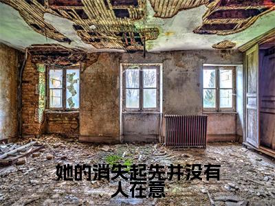 苏念贺时宴（她的消失起先并没有人在意）全文免费阅读无弹窗-她的消失起先并没有人在意完整版全文在线赏析