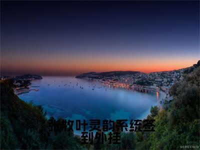  张牧叶灵韵(系统签到外挂，我年少便有伐天之力)全文免费阅读无弹窗大结局_ 张牧叶灵韵免费试读阅读全文无弹窗_