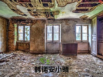 韩诺安小晴全文免费阅读无弹窗大结局_ (安小晴韩诺)韩诺安小晴在线阅读无弹窗