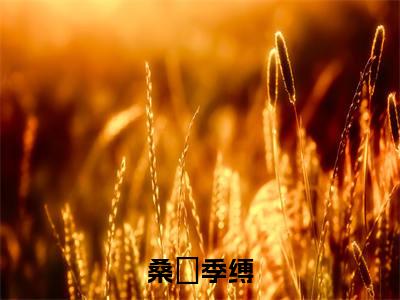 桑忨季缚小说（季缚桑忨）最新章节阅读-桑忨季缚（季缚桑忨）免费阅读无弹窗大结局