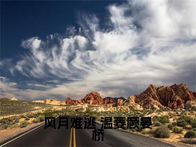  温菱顾晏桥全文免费阅读大结局- 温菱顾晏桥最新章节免费阅读大结局