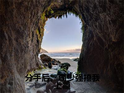 司景珩沈明月（分手后，司少强撩我上瘾全文免费阅读）无弹窗-司景珩沈明月（分手后，司少强撩我上瘾）完整版在线赏析笔趣阁