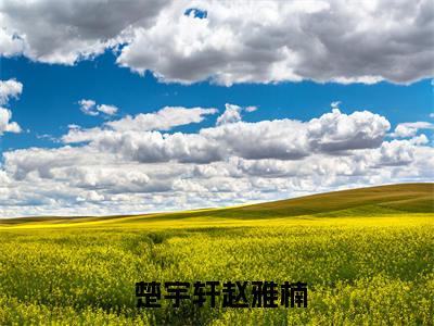  楚宇轩赵雅楠小说免费阅读无弹窗,小说名字是：楚宇轩赵雅楠最新章节的小说在线阅读无删减