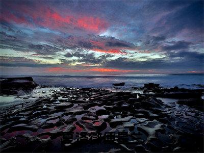 傅星兰夏洛微（夏洛微傅星兰）小说全文免费阅读正版无弹窗 夏洛微傅星兰全文无弹窗阅读