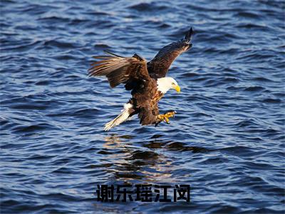 江闵谢乐瑶（谢乐瑶江闵）小说全文-谢乐瑶江闵小说免费阅读大结局
