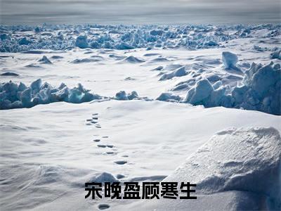 顾寒生宋晚盈小说(宋晚盈顾寒生)全文免费阅读无弹窗大结局_(顾寒生宋晚盈免费阅读全文大结局)最新章节列表_笔趣阁（宋晚盈顾寒生）