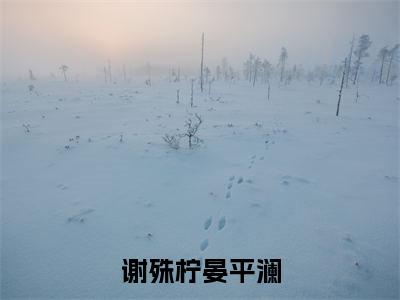 谢殊柠晏平澜（晏平澜谢殊柠）全文免费阅读无弹窗大结局_谢殊柠晏平澜全文免费阅读最新章节列表_笔趣阁