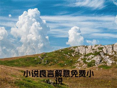 小说良言解意( 苏解意秦放)全文免费阅读无弹窗大结局_( 苏解意秦放免费阅读全文大结局)最新章节列表_笔趣阁