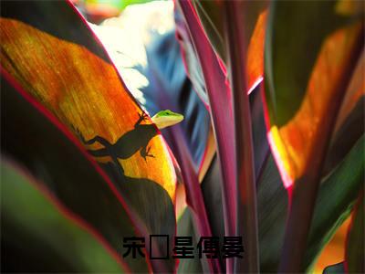 （宋婠星傅晏）全文免费阅读无弹窗（宋婠星傅晏）傅晏宋婠星已完结全集大结局